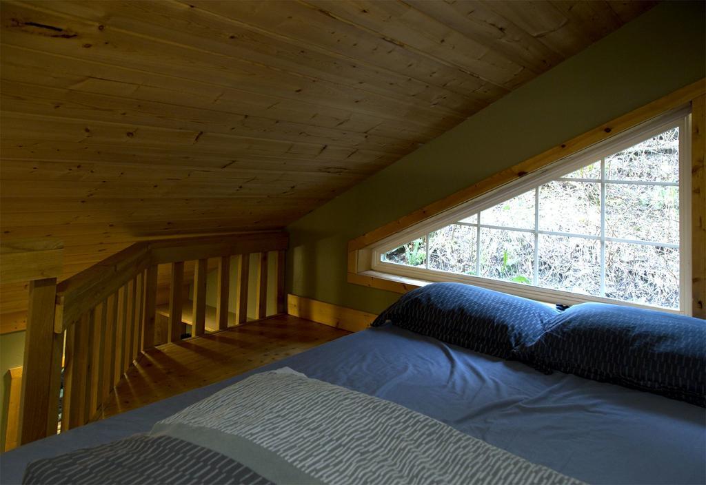 Surfs Inn Rainforest Cottages ユクルーレット エクステリア 写真